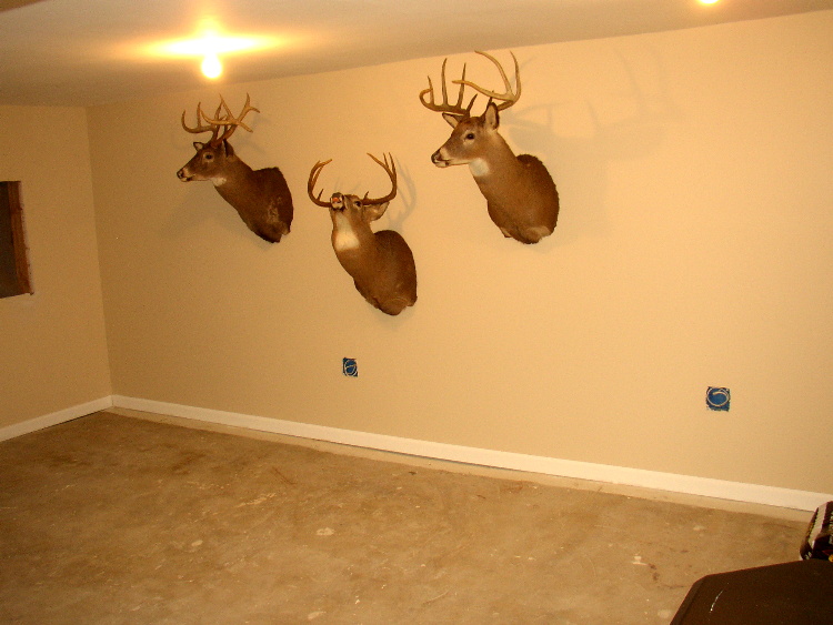 Click image for larger version

Name:	out side wall .jpg
Views:	87
Size:	145.0 KB
ID:	18339