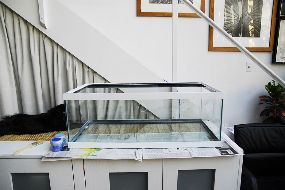 Click image for larger version

Name:	frag tank.jpg
Views:	346
Size:	144.4 KB
ID:	27201