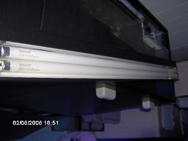Click image for larger version

Name:	Picture 052.jpg
Views:	63
Size:	105.9 KB
ID:	35391