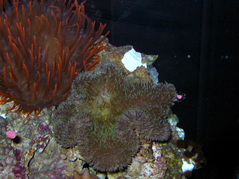 Click image for larger version

Name:	IMG_0066.jpg
Views:	124
Size:	211.5 KB
ID:	37839