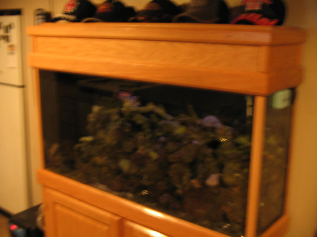 Click image for larger version

Name:	IMG_0057.JPG
Views:	27
Size:	65.8 KB
ID:	38281