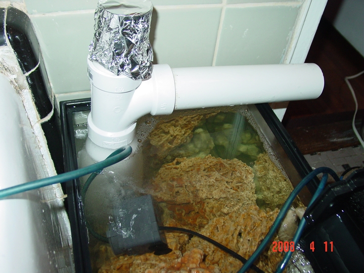 Click image for larger version

Name:	ghettoskimmer1.jpg
Views:	245
Size:	403.3 KB
ID:	38906