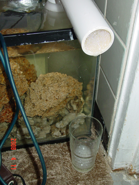 Click image for larger version

Name:	ghettoskimmer2.jpg
Views:	234
Size:	434.2 KB
ID:	38907