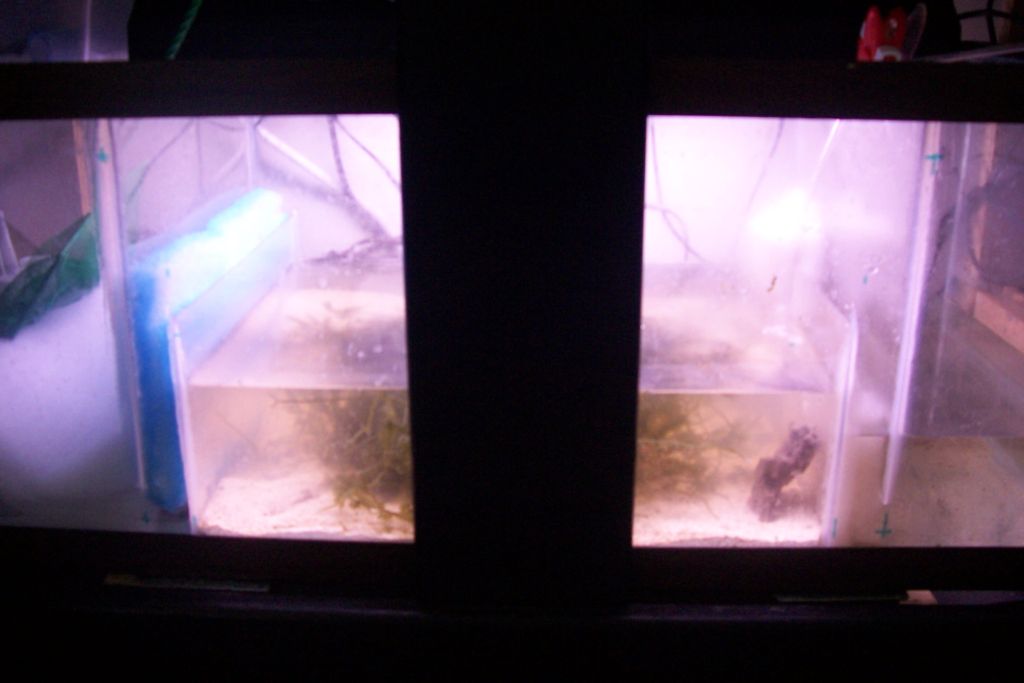 Click image for larger version

Name:	sump.JPG
Views:	55
Size:	54.4 KB
ID:	6687
