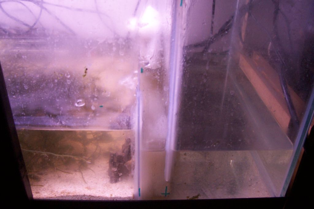 Click image for larger version

Name:	sump1.JPG
Views:	54
Size:	69.7 KB
ID:	6688