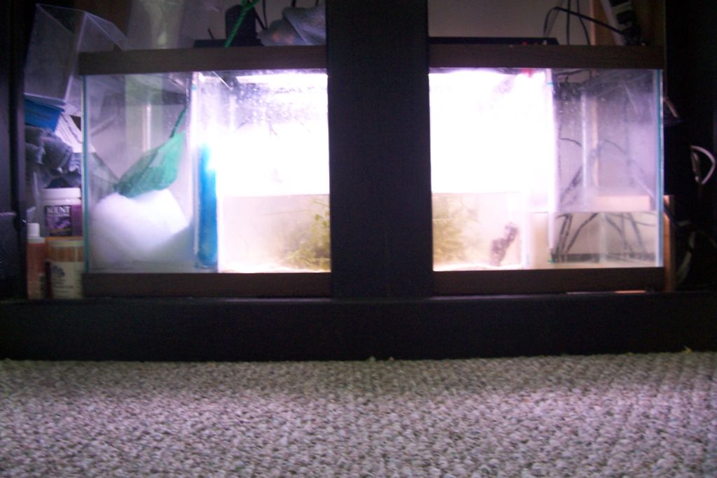 Click image for larger version

Name:	sump3.JPG
Views:	54
Size:	88.9 KB
ID:	6690