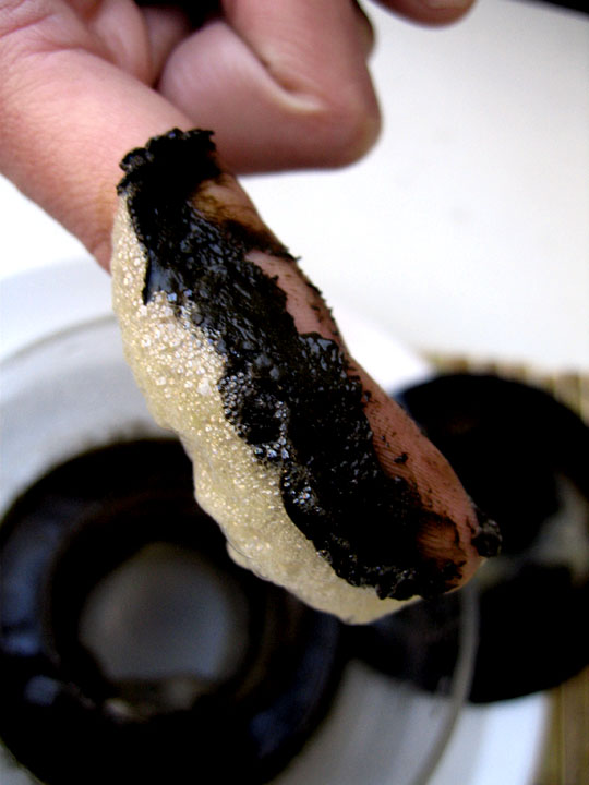 Click image for larger version

Name:	sludge.jpg
Views:	412
Size:	83.8 KB
ID:	7516