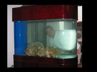 Click image for larger version

Name:	Jerry with tank.jpg
Views:	806
Size:	14.9 KB
ID:	9492