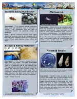Pest guide_Page_2.1.jpg