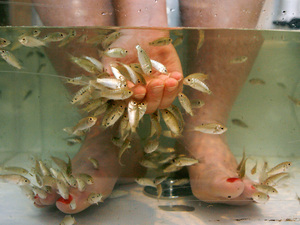 fishmanicure.jpg