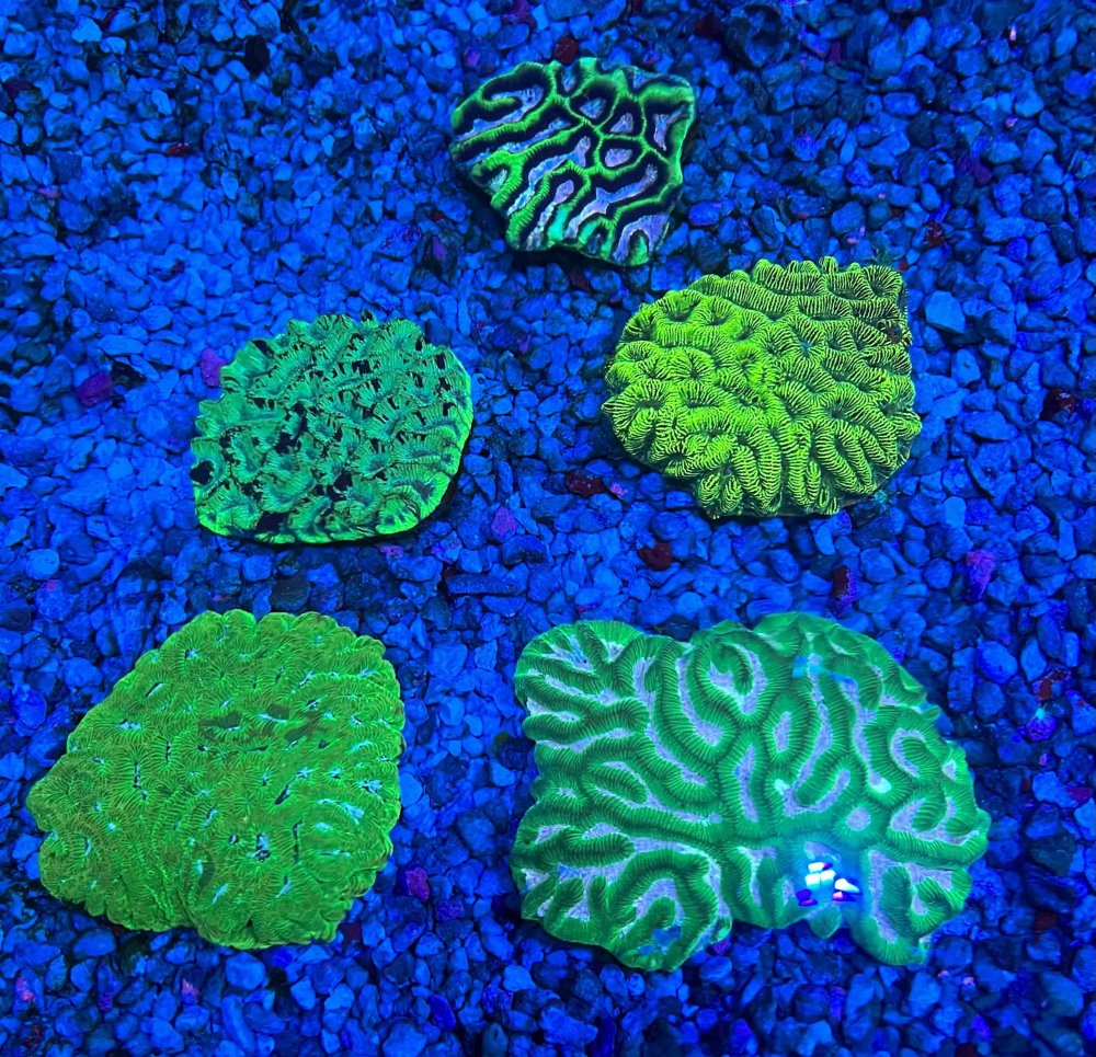 IMG_0653.jpg