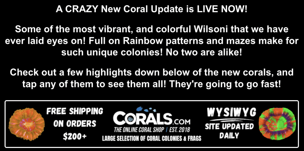 Screenshot 2026-01-27 at 7.04.31 PM.png