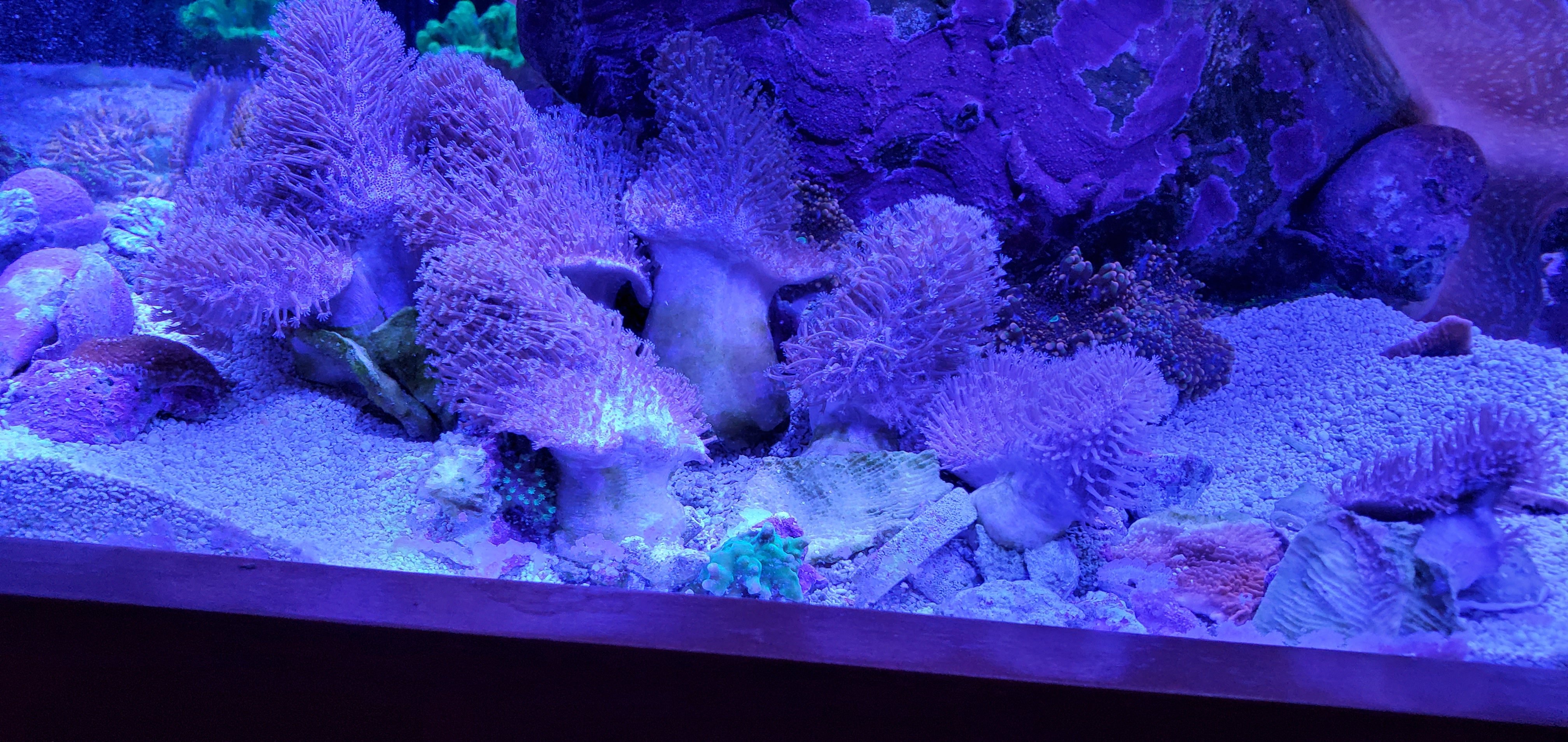 20201107_163945.jpg 20201107_163945.jpg