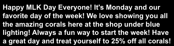 Screen Shot 2023-01-15 at 10.11.21 AM.png