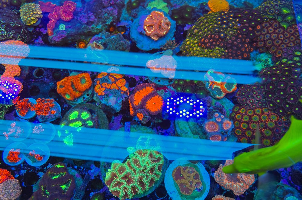 2025-11-28 15.31.06.jpg