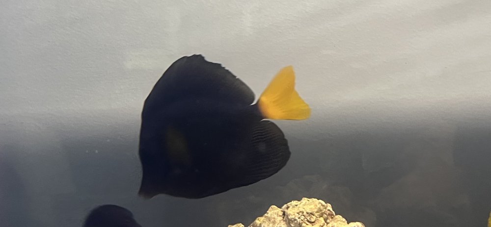 Image_20260506185515_25_39.jpg