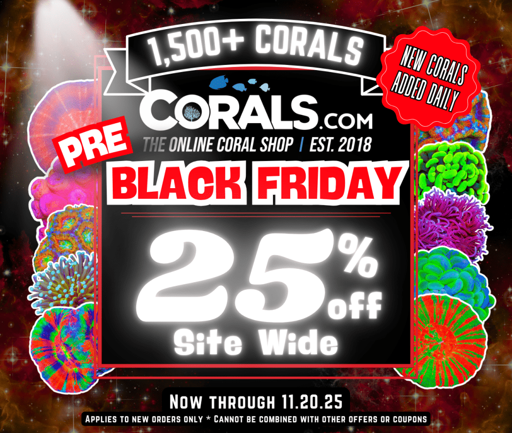 Pre Black Friday 2025.png