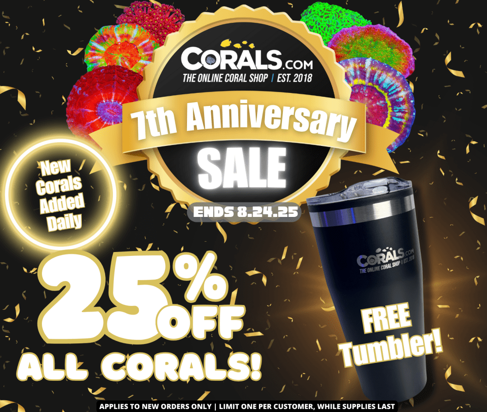 Anniversary Sale 2025(2).png