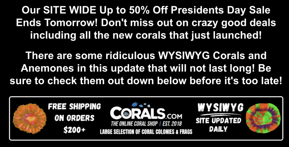 Screenshot 2026-02-19 at 10.49.49 AM.png