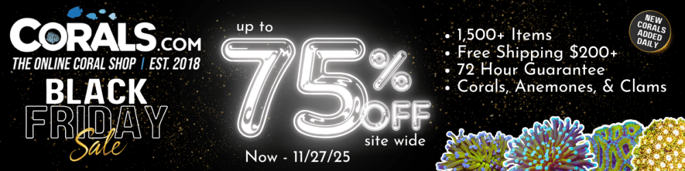 1200x300 BF r2r 2025.png