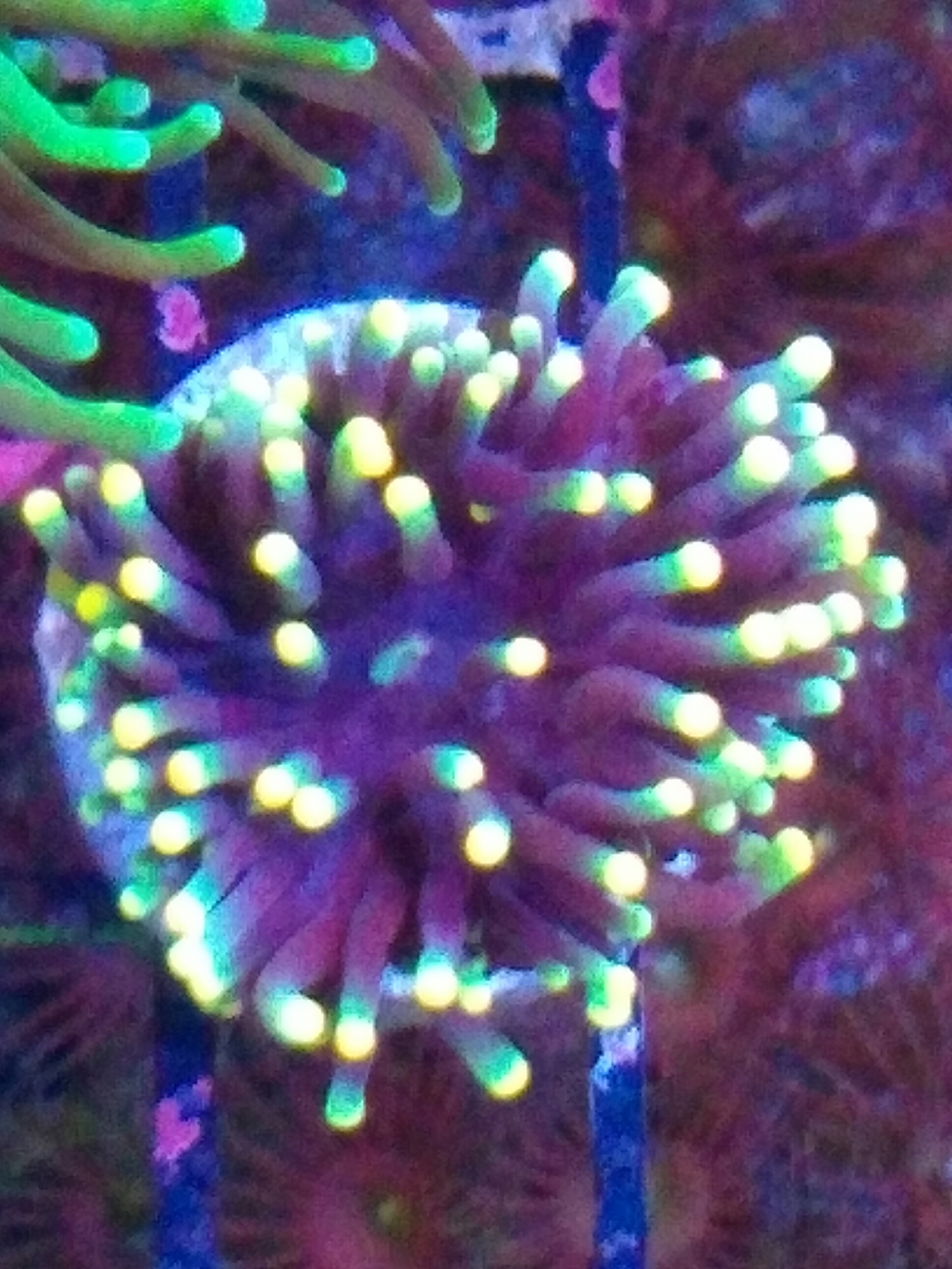 2019-10-29_13.30.36.jpg