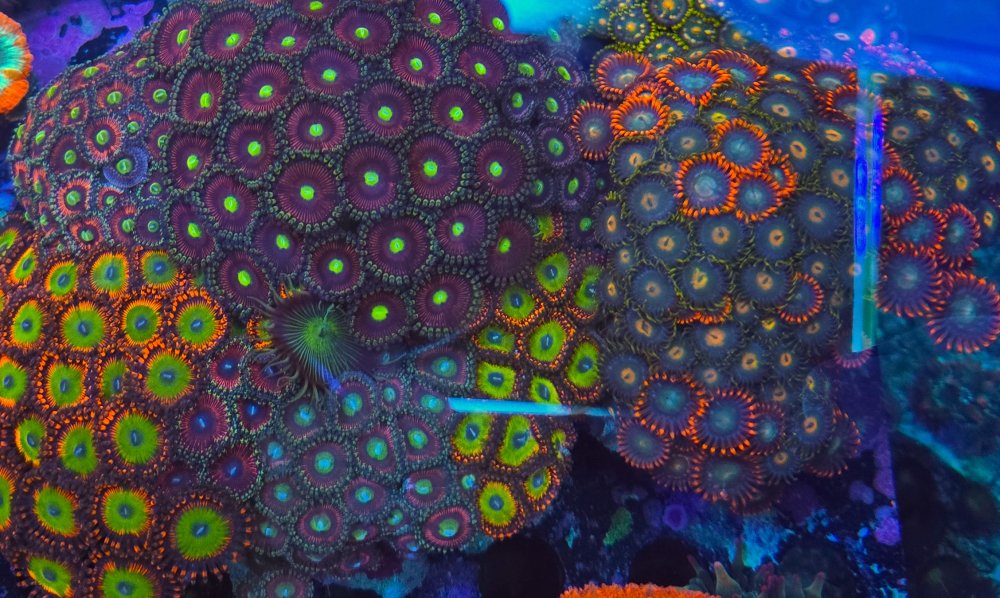 2025-11-28 15.31.18.jpg