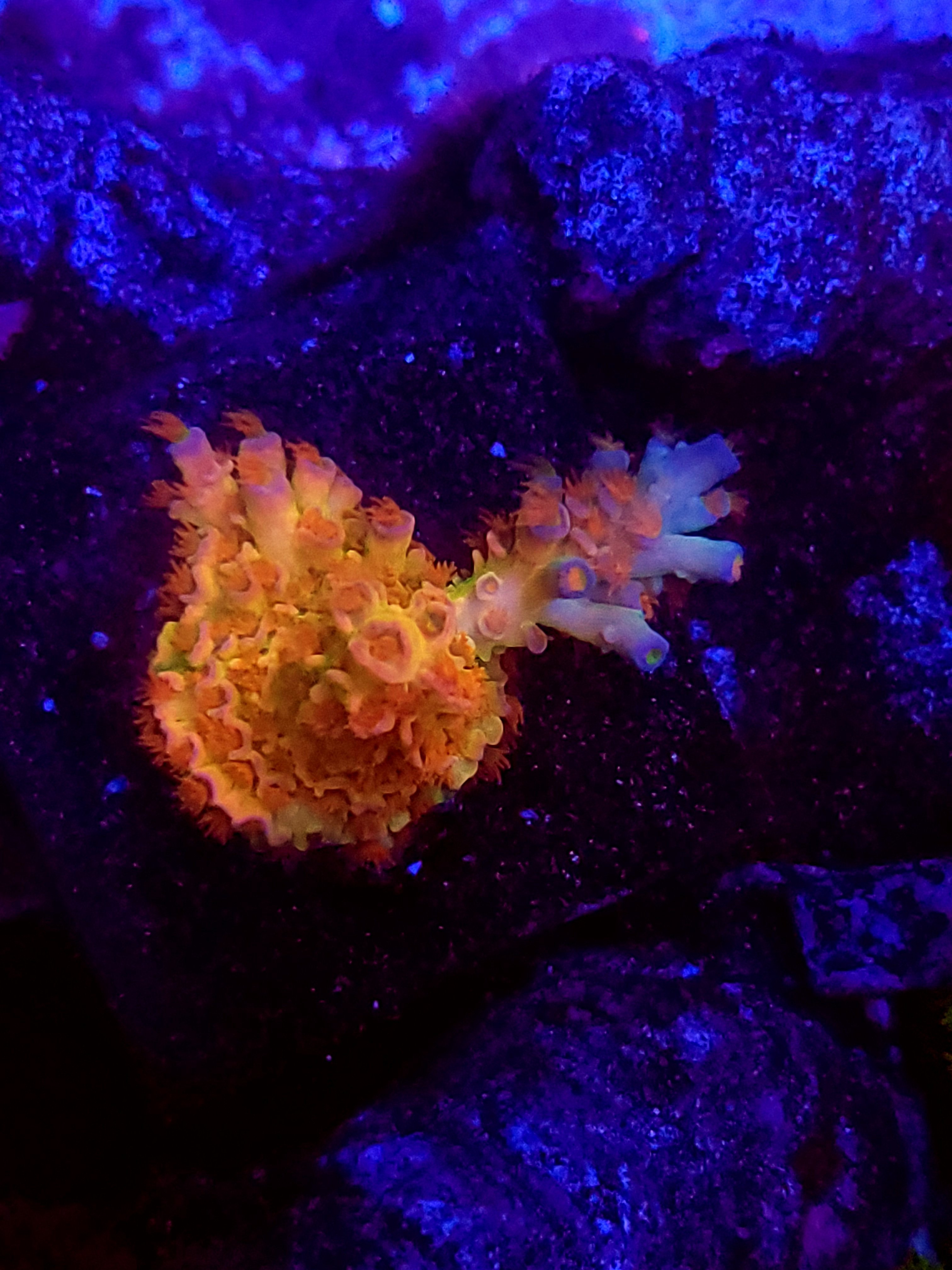 20200907_193435.jpg