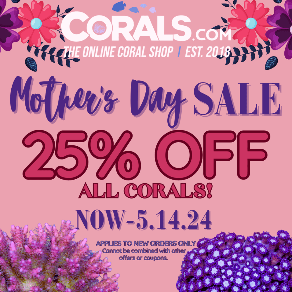 EmailSocial Mother's Day Facebook Post.png EmailSocial Mother's Day Facebook Post.png