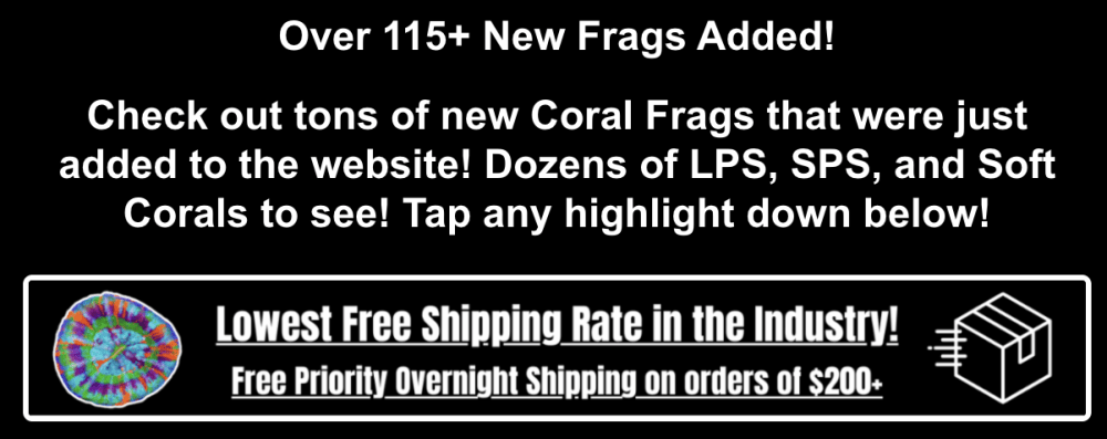 Screenshot 2026-04-09 at 8.48.36 PM.png