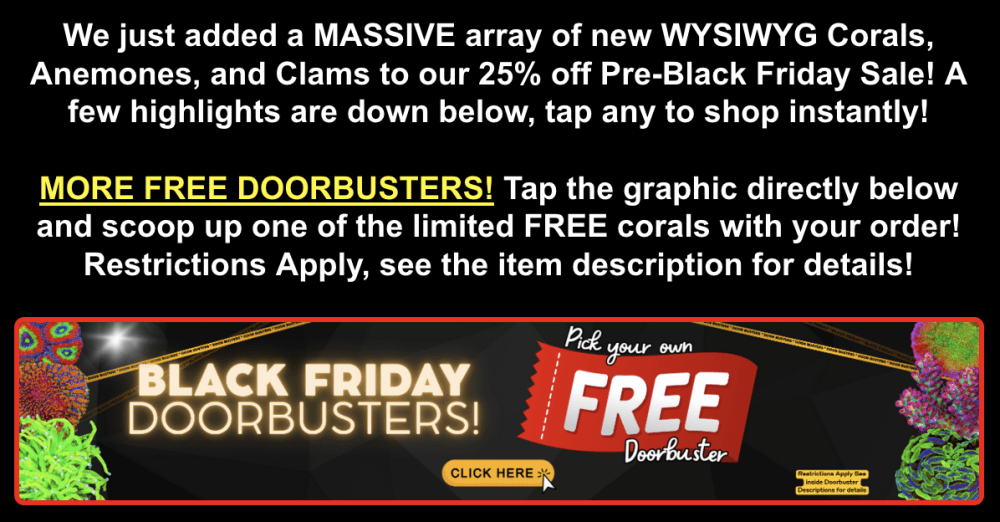 Screenshot 2025-11-18 at 12.59.43 PM.png