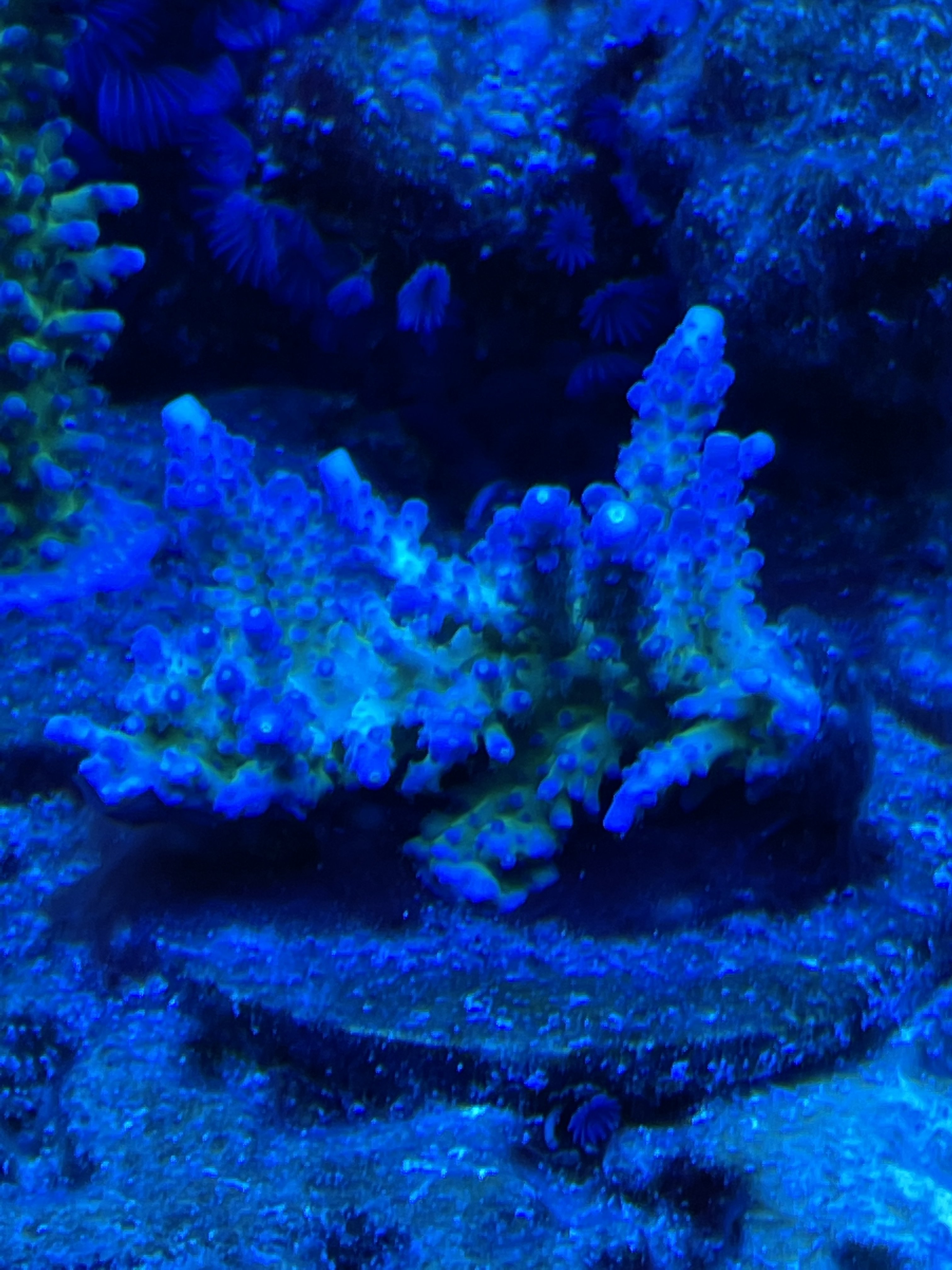 06C32641-E56D-4759-8692-CA36B779E6D6.jpeg