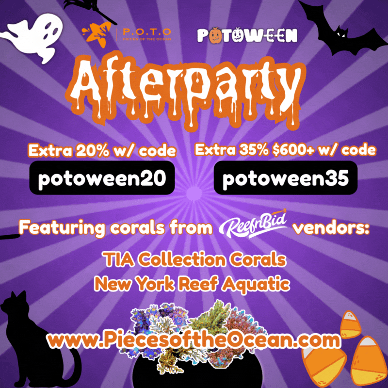 POTOween 801.GIF