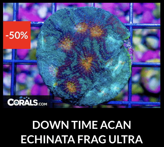 Screenshot 2026-04-09 at 7.08.38 PM.png