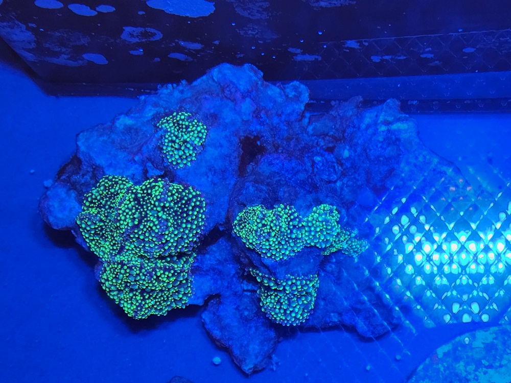 20220313_201215.jpg