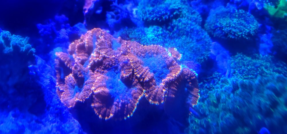20240603_183238.jpg