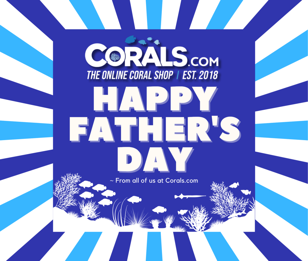 Happy Father's Day(3).png