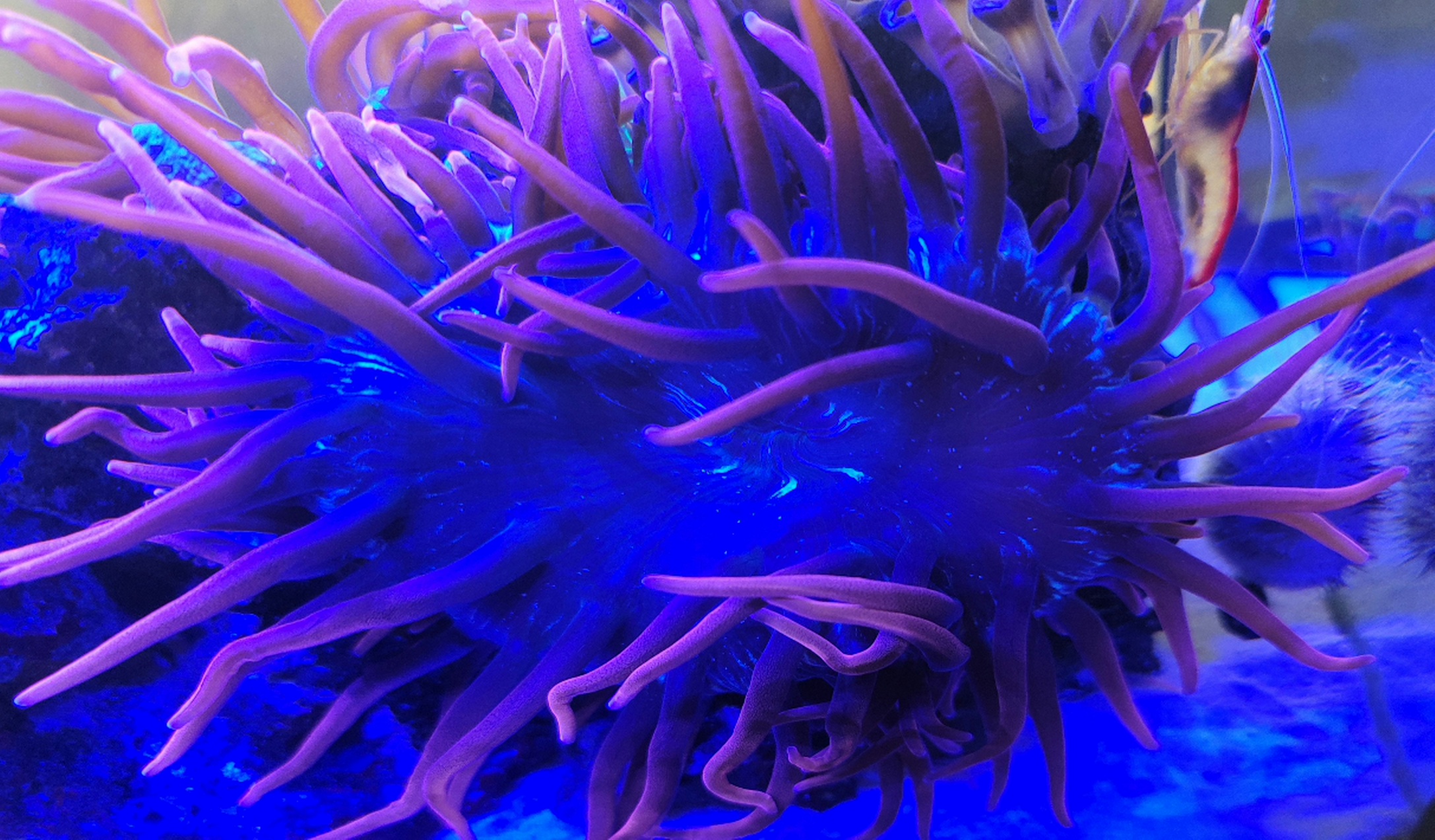 20210815_124912.jpg