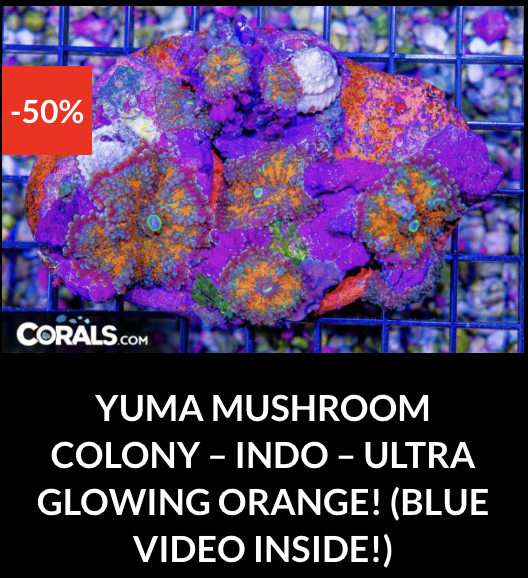 Screenshot 2025-12-28 at 9.52.32 AM.png