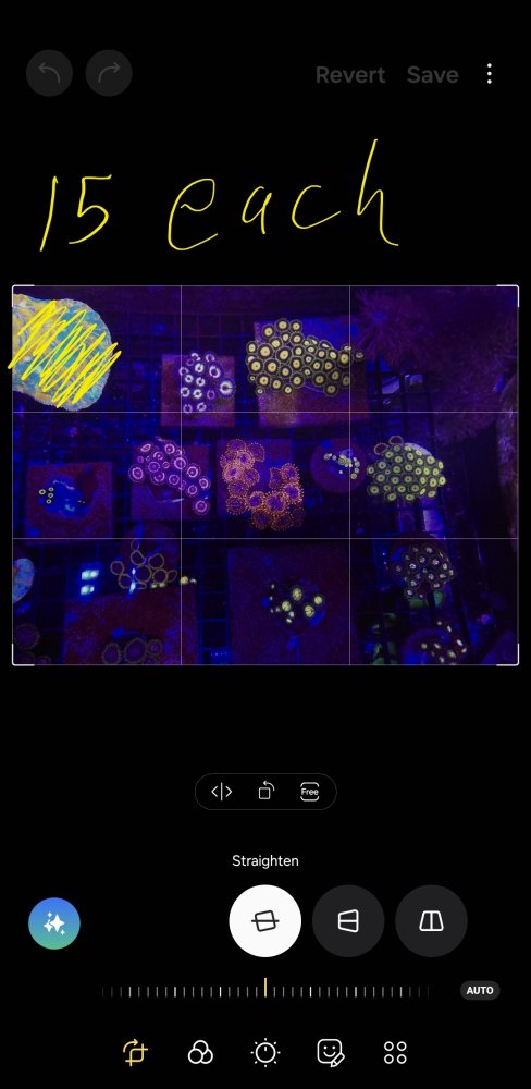 Screenshot_20240603_151814_Photo Editor.jpg Screenshot_20240603_151814_Photo Editor.jpg