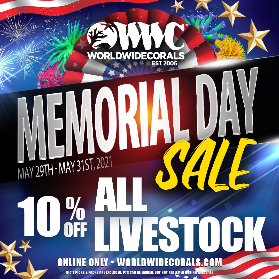 memorial_day_sale2021_SM1x1.jpg memorial_day_sale2021_SM1x1.jpg