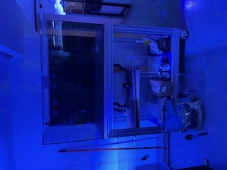 IMG_0761.jpg IMG_0761.jpg