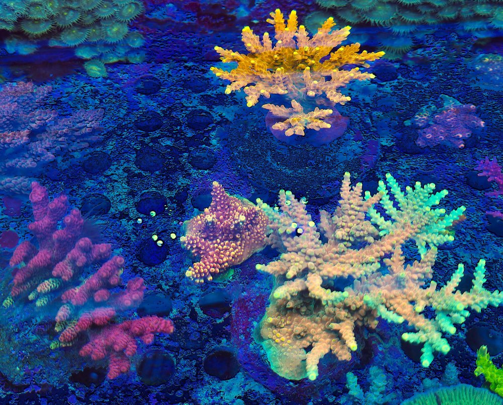 2025-11-28 15.32.30.jpg