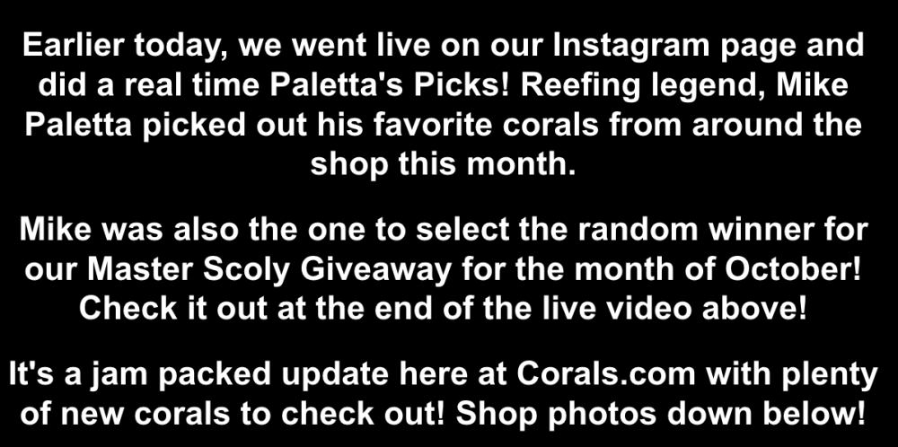 Screenshot 2025-11-03 at 4.05.39 PM.png