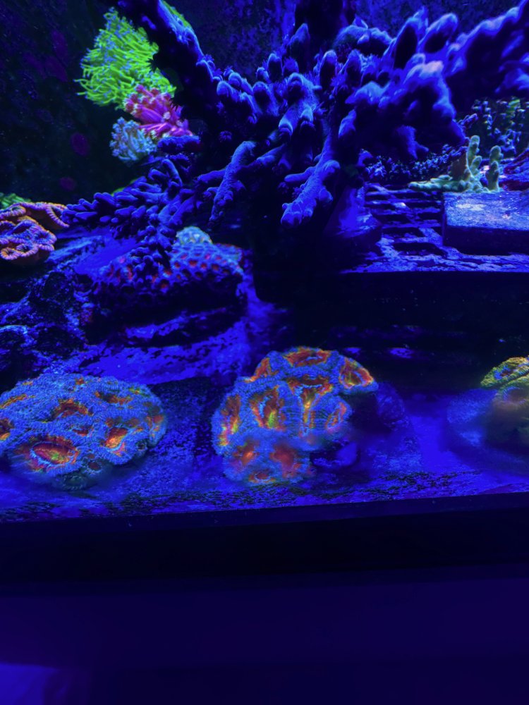 AquaCam_DF0BF96C.jpeg