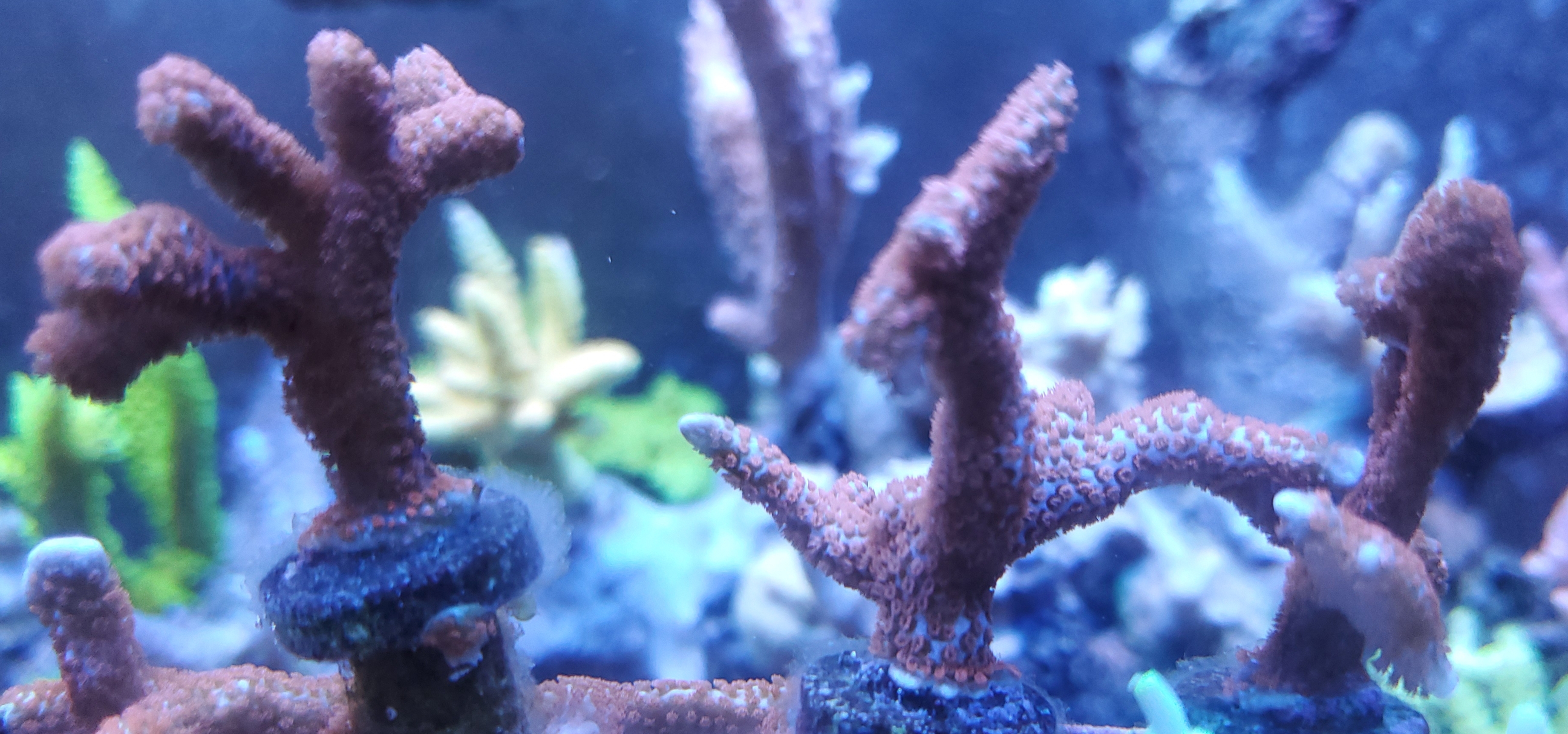 20200913_161653.jpg