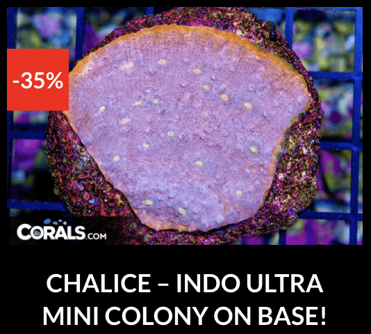 Screenshot 2026-04-10 at 10.38.39 PM.png