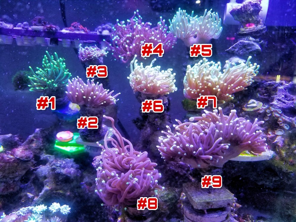 Picsart_24-01-27_18-48-16-498.jpg Picsart_24-01-27_18-48-16-498.jpg