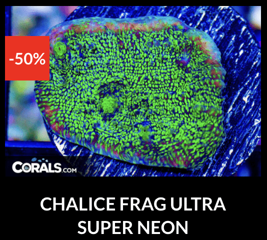 Screenshot 2026-04-10 at 10.58.06 PM.png