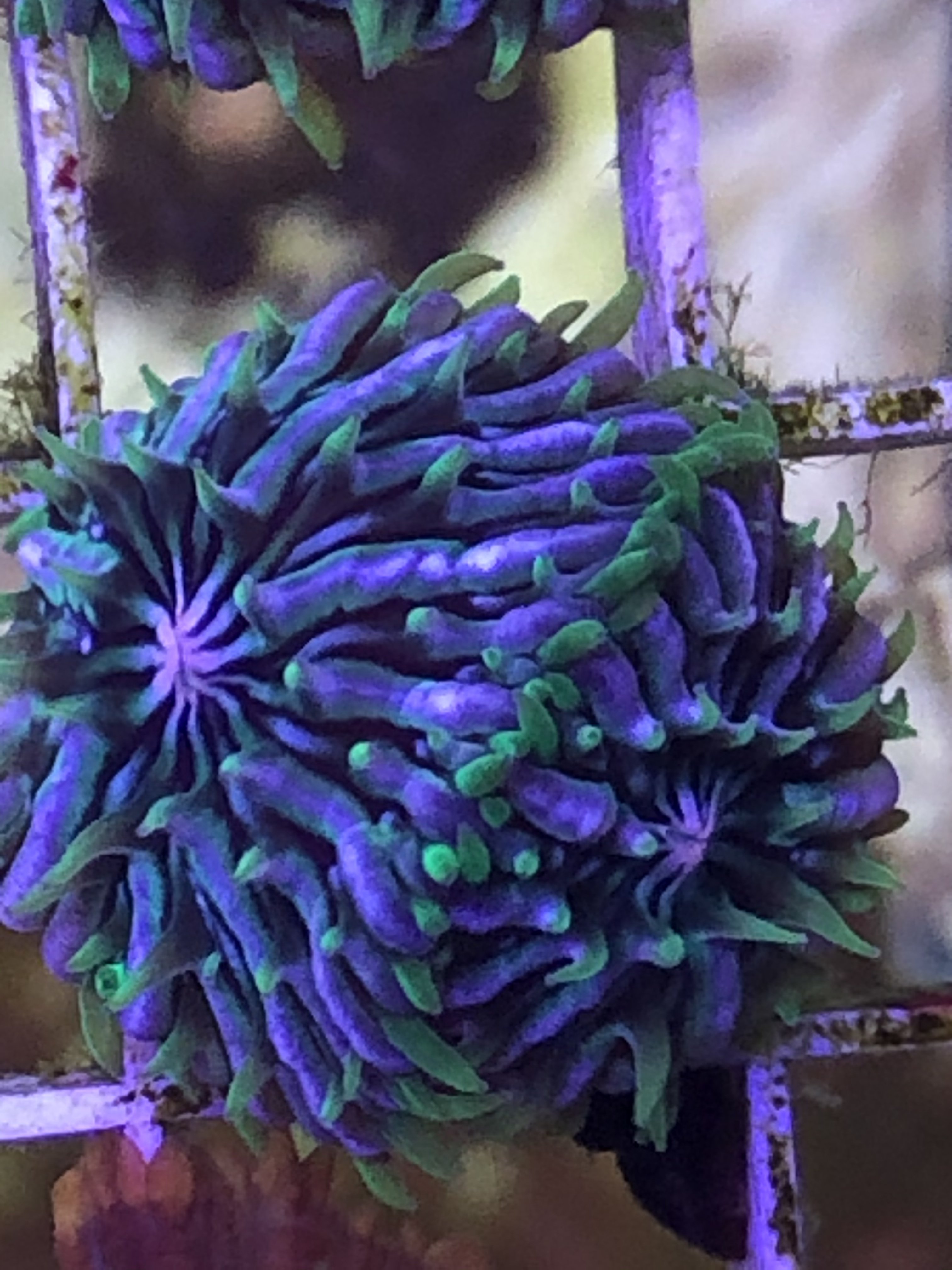 2403ABA5-B402-4998-AC0A-8C90C196BDD4.jpeg