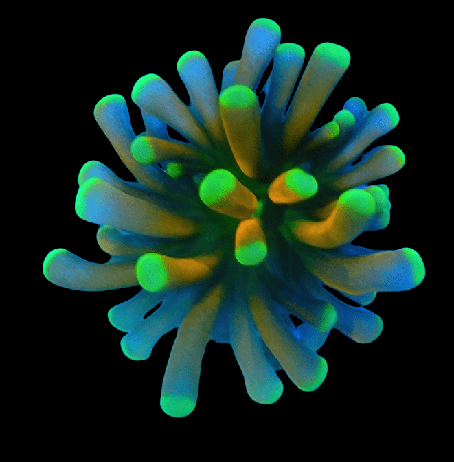 PhotoRoom-20220215_095138.png PhotoRoom-20220215_095138.png